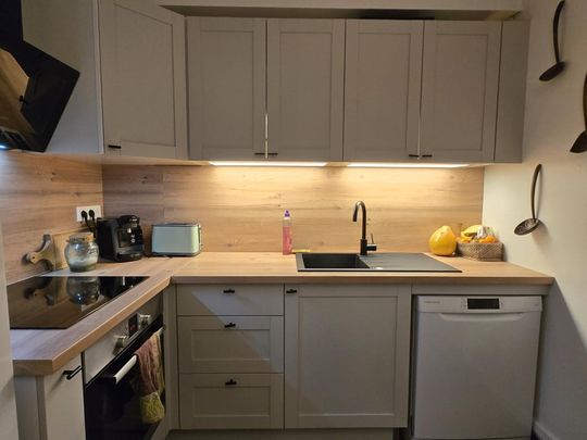 Location Appartement 2 pièces Meublé 41m² NANCY 54000 - Photo 1