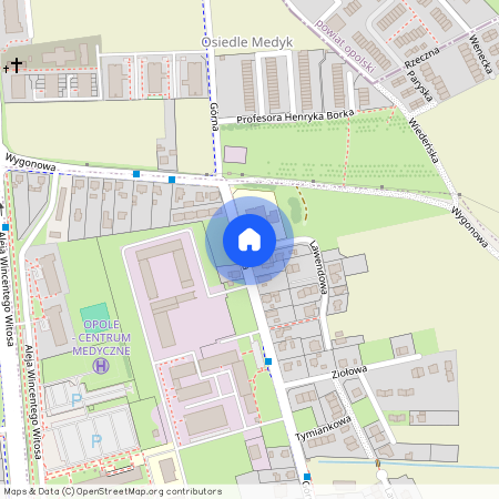 ul. Górna, Kolonia Gosławicka, Opole, opolskie