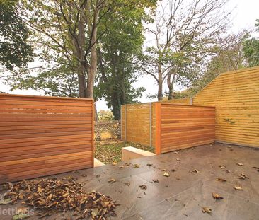 1 Bed property for rent - Photo 5