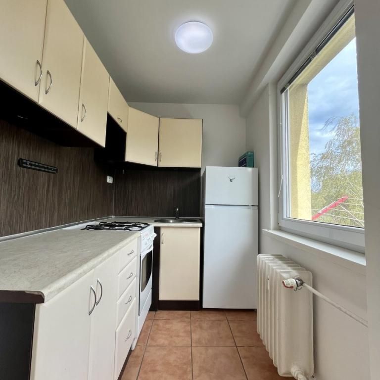 Pronájem bytu 1+1 30 m2 - Fotografie 1