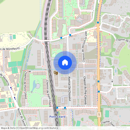 16, chemin du Petit-Montfleury, 1290 Versoix