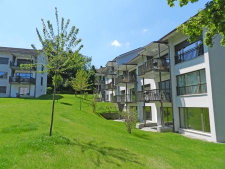 Attraktive Singlewohnung in Gehdistanz zum Zürichsee - Foto 4