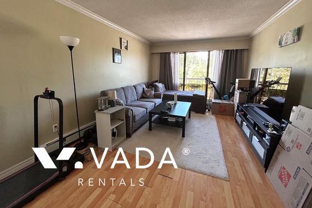 Unfurnished, 2 Bed 1 Bath Apartment For Rent - Photo 1