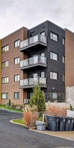 Superbe studio tres spacieux et Coquet - Photo 3