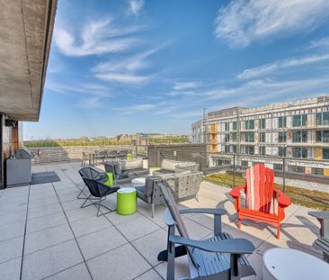 Appartement à louer - Montréal (Côte-des-Neiges/Notre-Dame-de-Grâce... - Photo 1