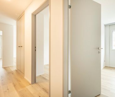 "Eichliacker - Wohnen im neuen Look." - Foto 1