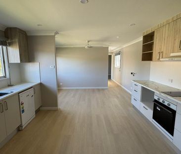 Newly Renovated 2 Bedroom Unit - Photo 3