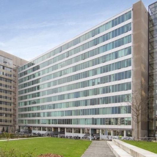 Te huur: Studio Bos en Lommerplantsoen in Amsterdam - Photo 2