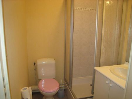 Location Appartement 2 pièces 31m² ANGERS 49000 - Photo 3
