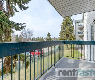 Parklane Apartments — 1 Bedroom - Photo 5