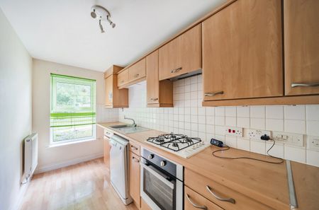 3 bedroom house to rent - Photo 4