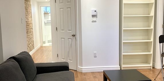 Downtown - Superb 3 1/2 Furnished - Photo 2