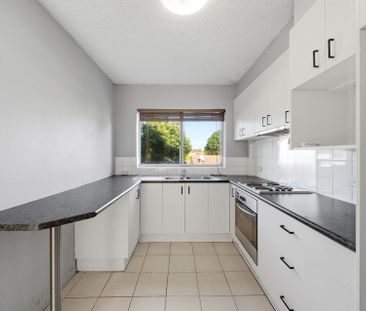 Renovated Two Bedroom Unit - Photo 5