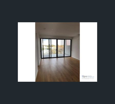 303/99 Anzac Hwy, Ashford, SA 5035 - Photo 3