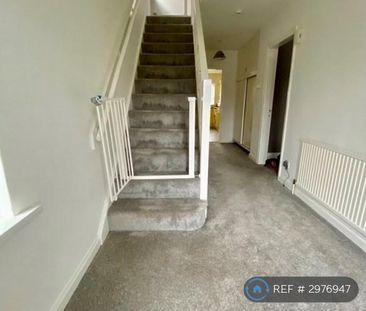 4 bedroom semi-detached house to rent - Photo 3