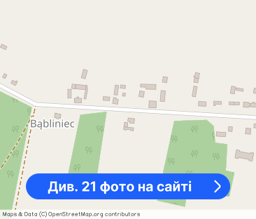 Dom, garaż, stadnina, magazyn, prywatny las i staw - Фото 1