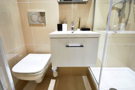 Studio Flat, Jack Rosenthal Street, M15 - Photo 4