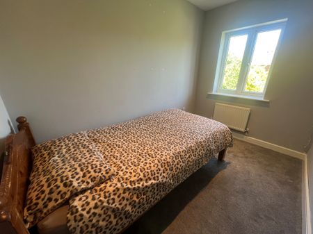 Low Field Lane, Redditch, B97 - Photo 4