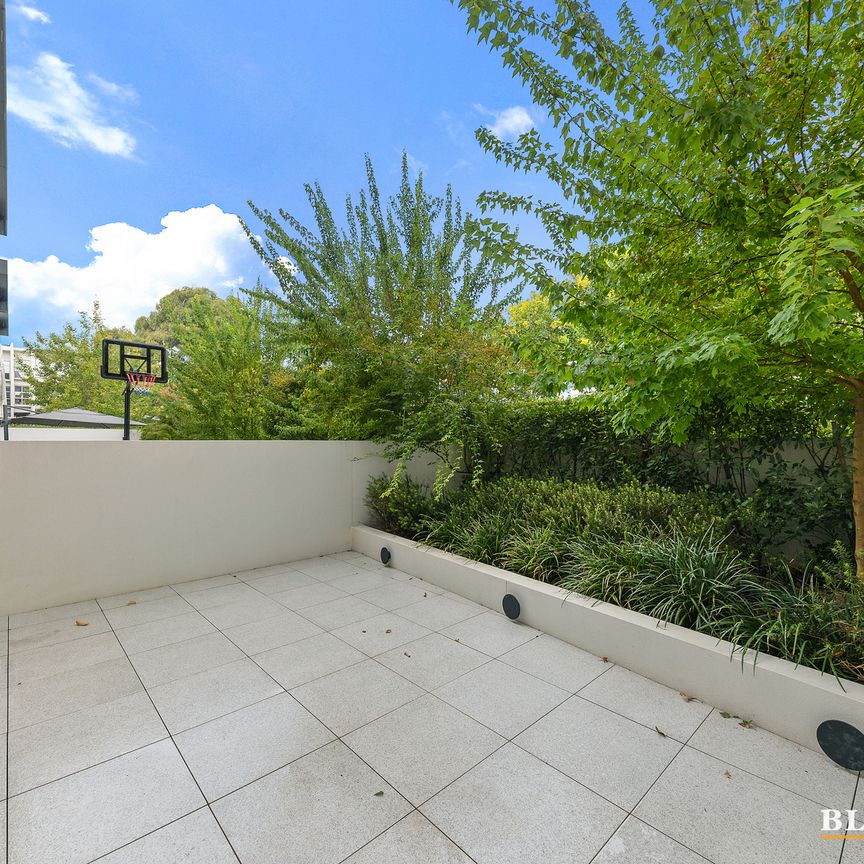 11/22 Canberra Avenue, Forrest ACT 2603 - Apartment For Rent | Domain - Photo 1