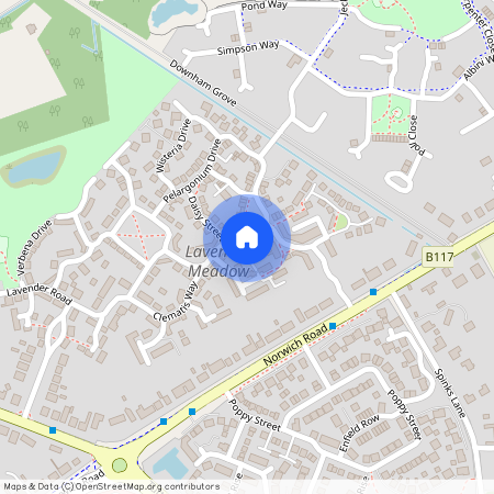 Snowdrop Street, NR18 0FY