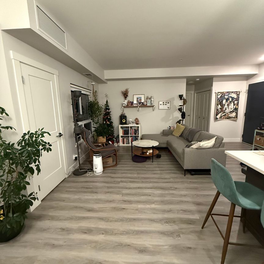 Pet Friendly at SoHo Kelowna! - Photo 1