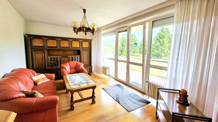 Charmante 3-Zimmer-Wohnung mit großer Terrasse in ruhiger Lage mit Grünblick in Pernitz - Photo 4