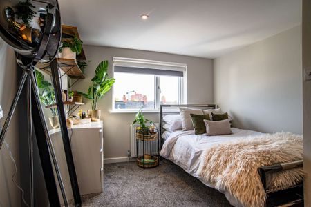 Newly renovated house for 6 in the heart of Cathays! - Photo 5