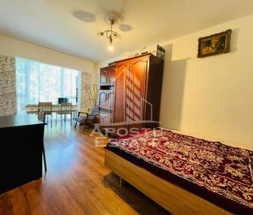 Apartament 1 camera/Podgoria/Vedere Panoramica la Bazinul de Inot - Fotografie 1