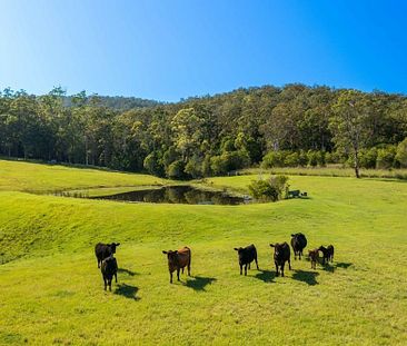 302 Clarefield Dungay Creek Road - Photo 3