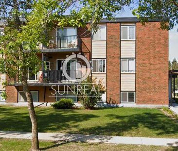 Camrose 1 Bedroom Apartment - Photo 4