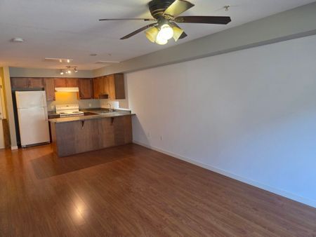 1 Bedroom at Old Yale Heights! - Photo 3