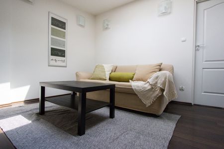 bujwida - Zdjęcie 5