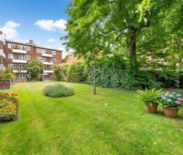 1 bedroom house to rent - Photo 1