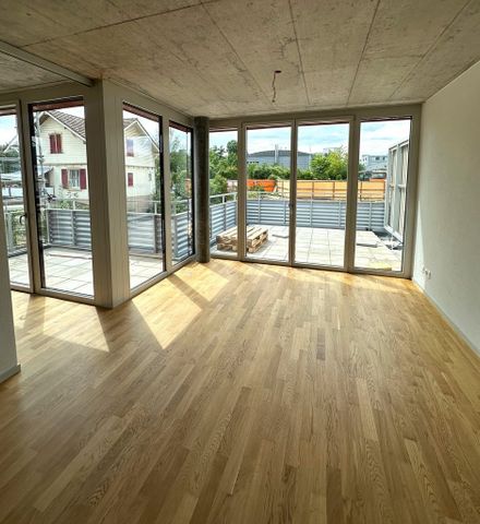 Moderne 4.5-Zimmer-Wohnung in neuem Terrassenhaus - Photo 2