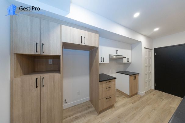 585 St-Bonaventure - Photo 1