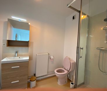 Location Appartement 1 pièce 24m² RENNES 35000 - Photo 6