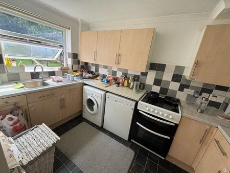 The Tail Race, Maidstone - Photo 3