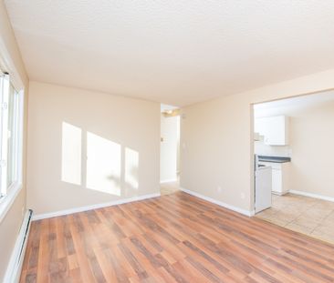 Alexander Apartments - Photo 4