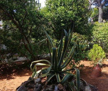 Διαμέρισμα για ενοικίαση Άνω Δάφνη (Δάφνη) - Photo 5