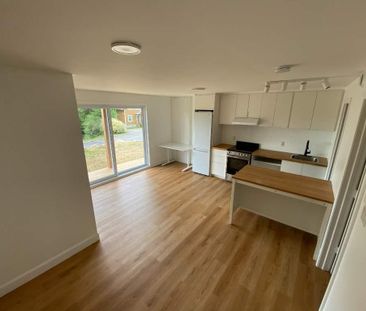 3 ½ neuf à Sainte-Agathe – Vue sur le lac, terrasse, jardin – près ... - Photo 1