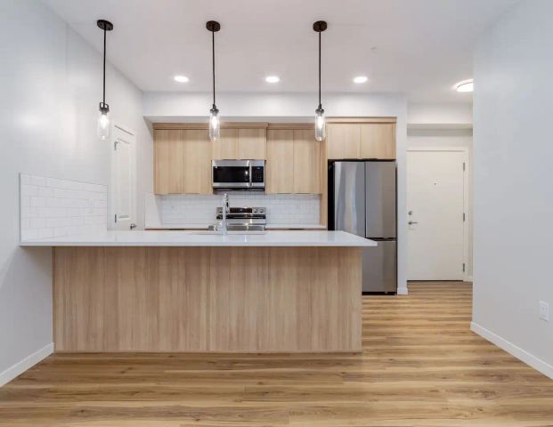 Large 2 Bed Unit Available!!! Like NEW! — 2 Bedrooms Condo Unit - Photo 1