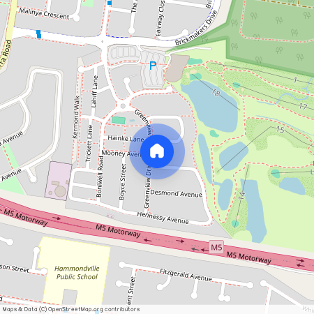 41 Greenview Drive, NSW 2170, Moorebank