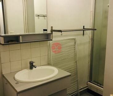 Location T1bis - Secteur Amidonniers - Photo 3