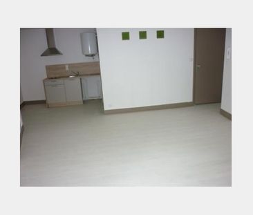 Location Appartement P1 Chevalier 4 Mende - Photo 2