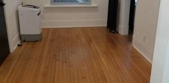 1,700/ Beautiful - 1455 W 8th Av - Photo 2