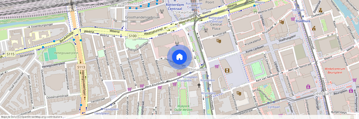 Oude Westen, 3014 AH, Diergaardesingel, Rotterdam