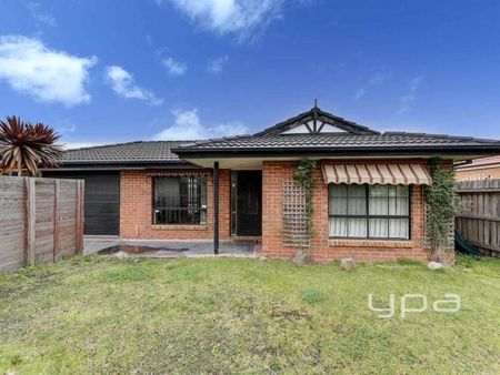 Prime Location - Photo 4