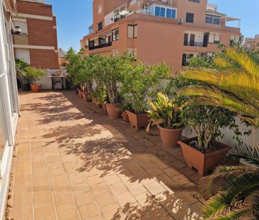 2 bedroom luxury penthouse for rent in Palma de Mallorca, Balearic Islands - Photo 5