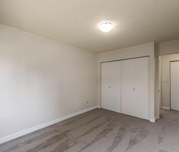 1 Bedroom - Photo 5