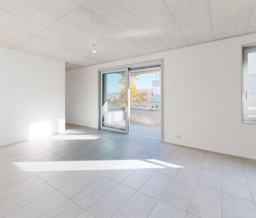 2.5-Zimmer Neubau-Erstbezug am Fusse des Uetlibergs - Foto 5